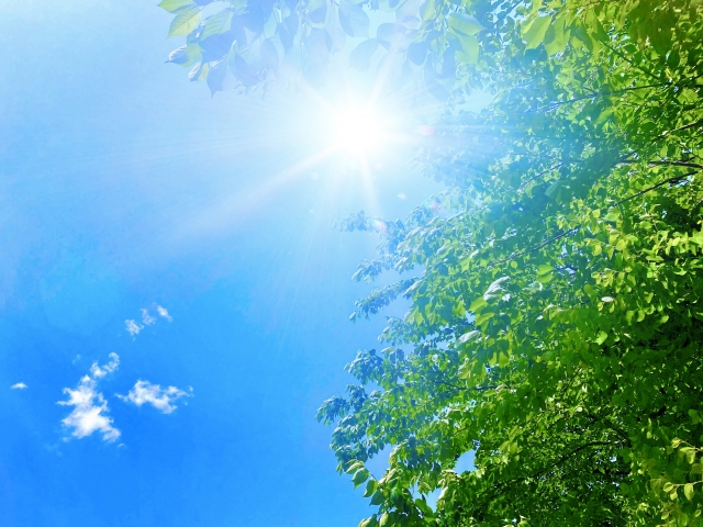 ちょっと気になる紫外線のこと