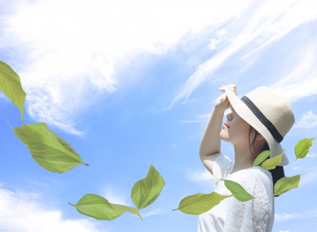 日焼け止め乳液がVIKIAシリーズになって新登場